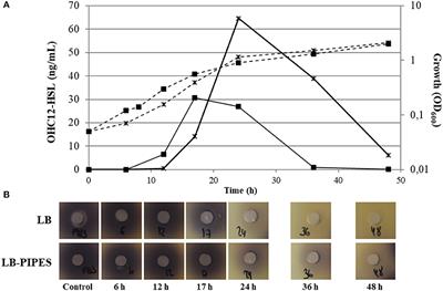 Multiple Quorum Quenching Enzymes Are Active in the Nosocomial Pathogen Acinetobacter baumannii ATCC17978